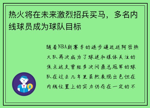 热火将在未来激烈招兵买马，多名内线球员成为球队目标