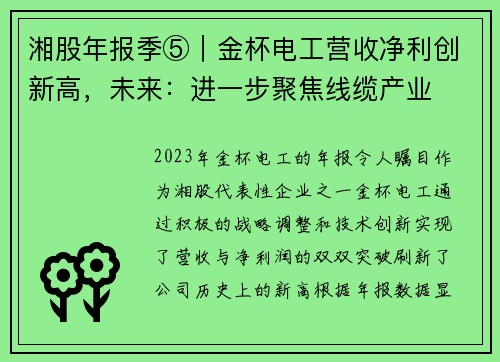 湘股年报季⑤｜金杯电工营收净利创新高，未来：进一步聚焦线缆产业