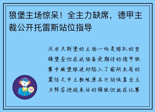 狼堡主场惊呆！全主力缺席，德甲主裁公开托雷斯站位指导