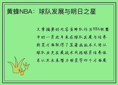 黄蜂NBA：球队发展与明日之星